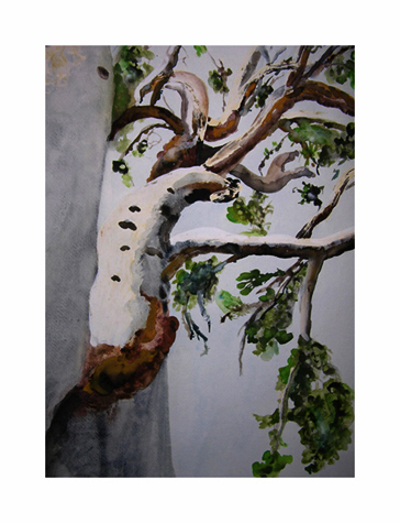 Vintage Birch Tree